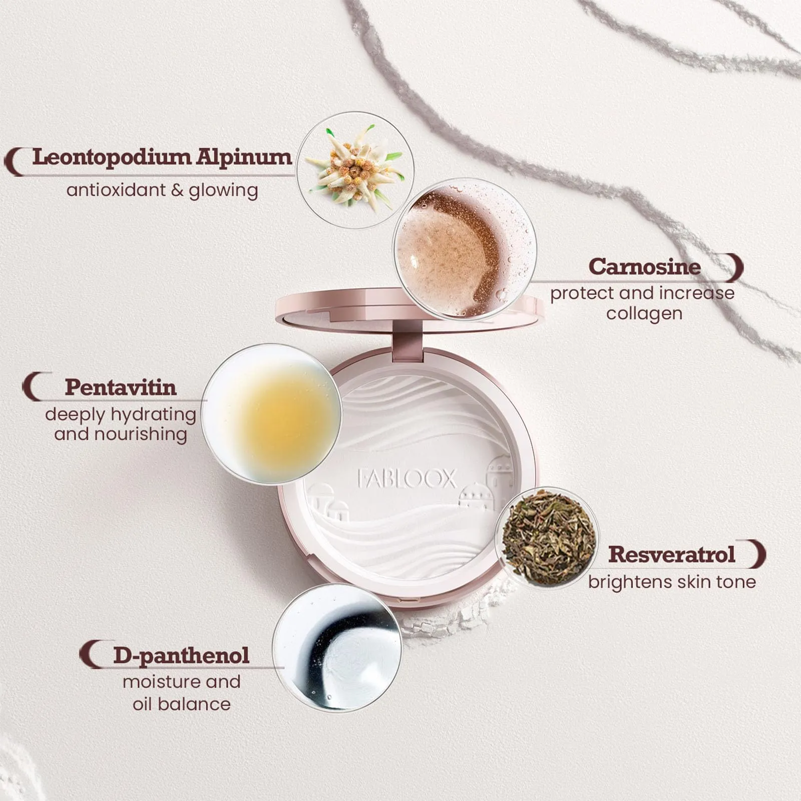FABLOOX Soft Focus Pressed Powder, Talc-Free Translucent Setting Powder & Finishing Powder, Oil Control Blurs Fine Lines and Pores, Brightens Skin, Waterproof, Long-Lasting Matte Finish, Natural