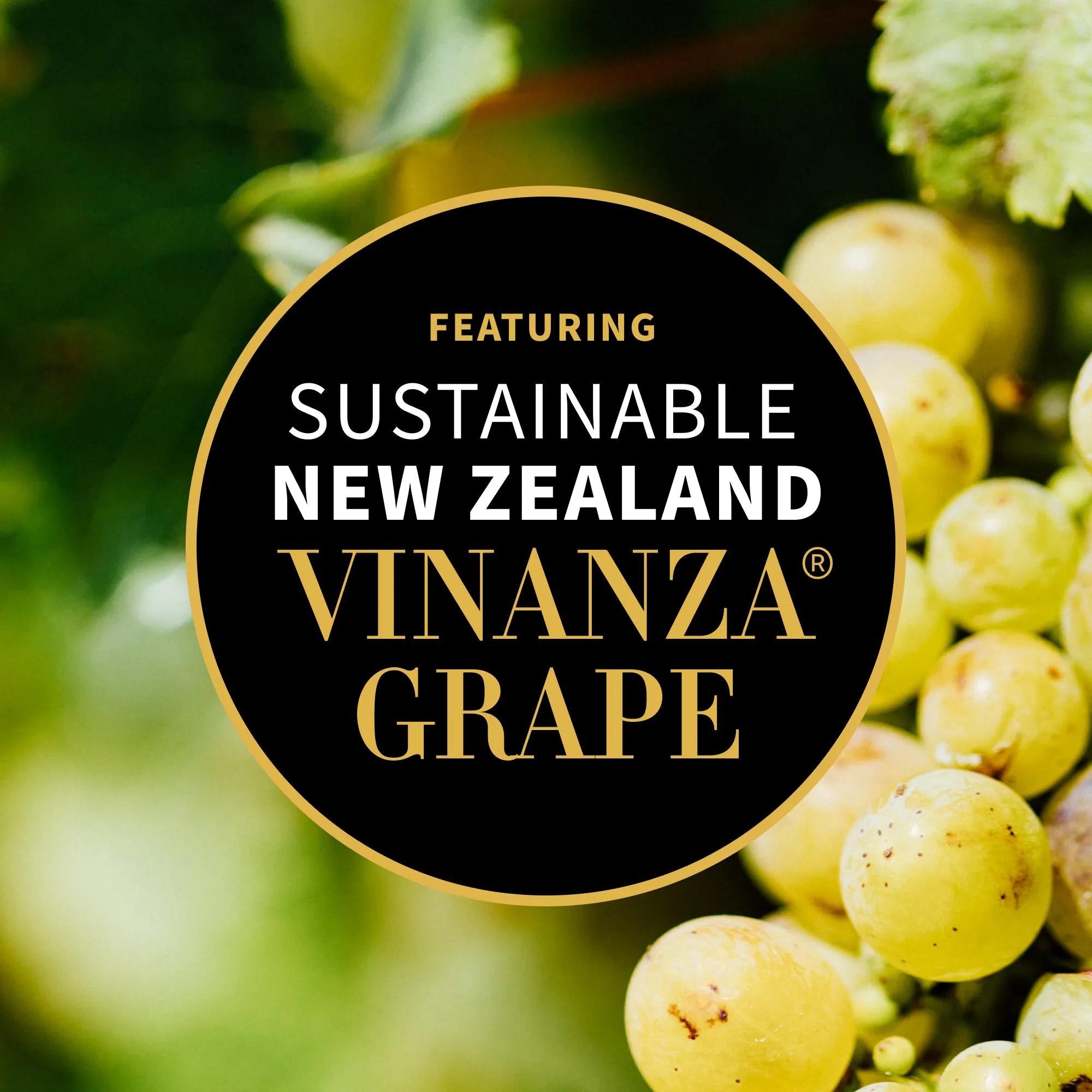 Grapeseed Butter Cleanser 75g