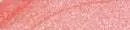 L.E. Beauty Lip Gloss